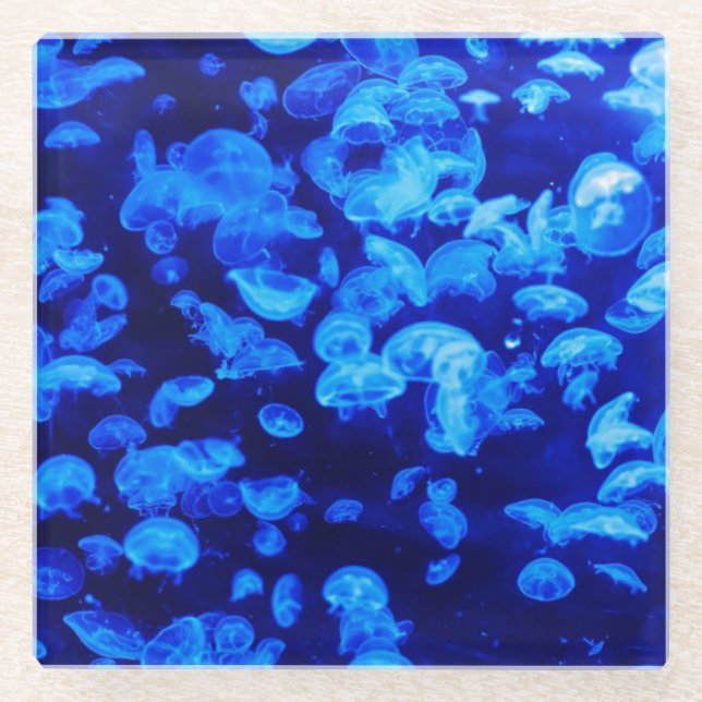 Quallenriegel Glasuntersetzer (Vorderseite)