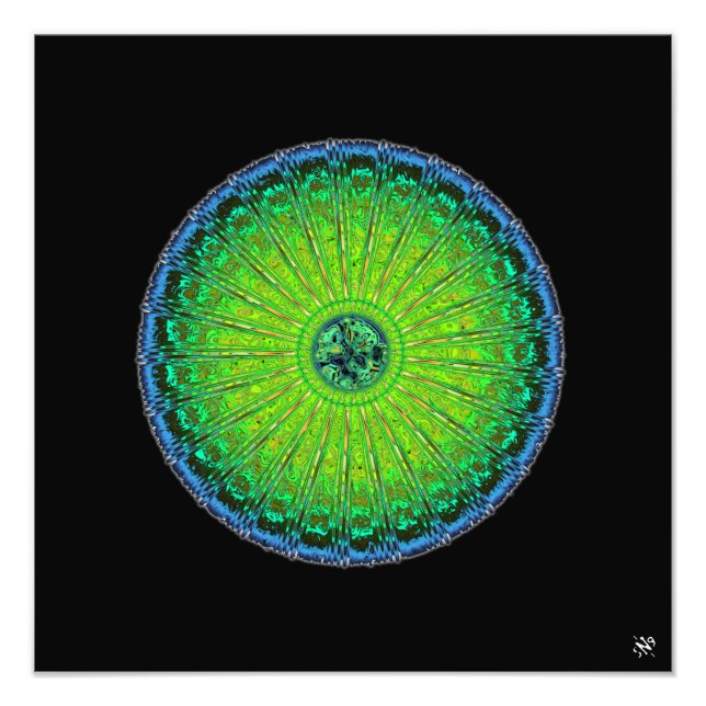 Quallenschirm Fotodruck (Vorne)