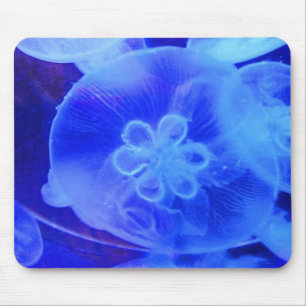 Quallentier Mousepad