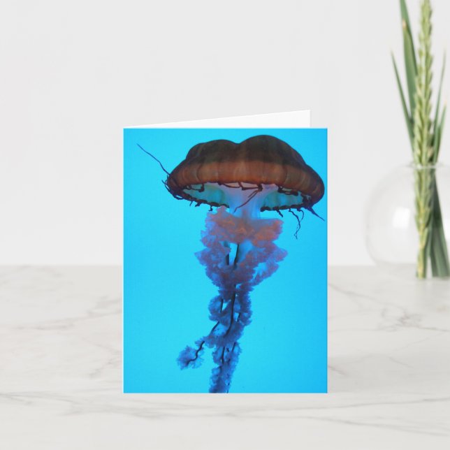 Quallyfish Notecard Karte (Vorderseite)