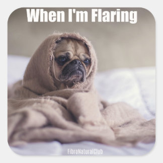 Quand je fais voler un autocollant Fibromyalgie