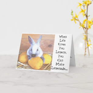 Quand la vie te donne la carte de lapin aux citron