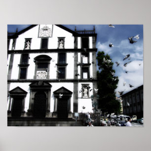 quand les colombes volent Print & Poster