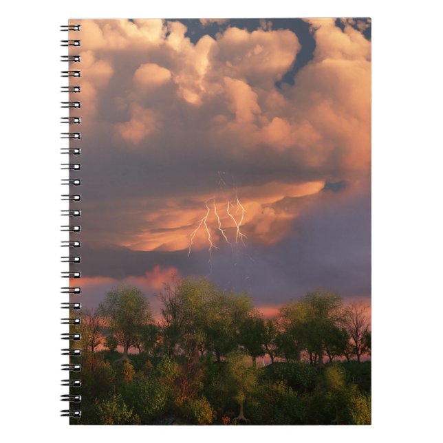 Quand Mars Frappe Son Carnet De Corne (Devant)