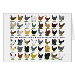 Quarante-huit promos de poule