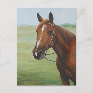 Quarter Horse Art Postkarte