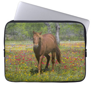 Quarter Horse auf einem Feld mit Wildblumen Laptopschutzhülle