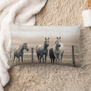 Quarter Horses in der kanadischen Prärie Lendenkissen