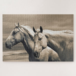 Quarter Horses On Canadian Prairie