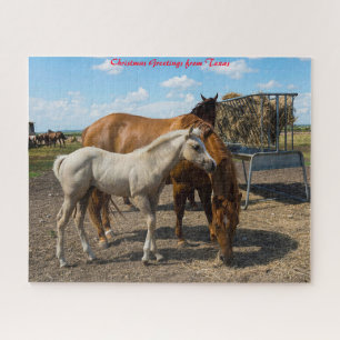Quarter Horses Texas. Weihnachtsgrüße