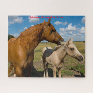 Quarter Horses Texas.Weihnachtsgrüße