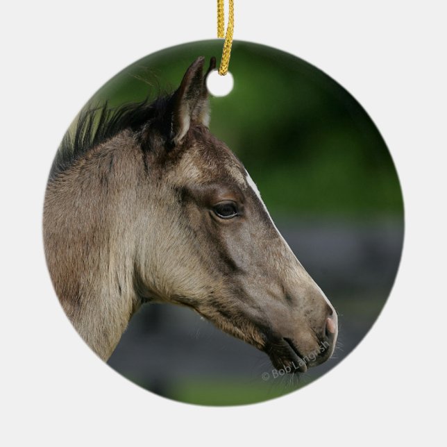 Quarterhorse-FohlenHeadshot Keramikornament (Vorne)