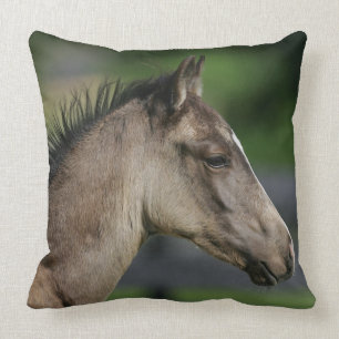 Quarterhorse-FohlenHeadshot Kissen