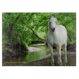 Quarterhorse-Glasschneiden-Brett Schneidebrett