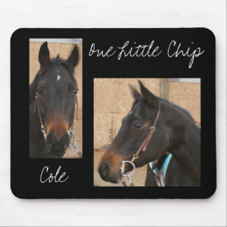 Quarterhorse Mousepad
