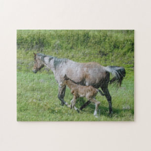 Quarterhorse-Stute mit Fohlen an der Seite