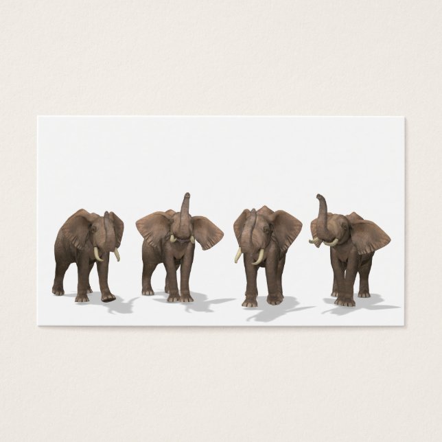 Quartet des éléphants (Devant)