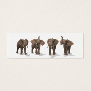 Quartet des éléphants