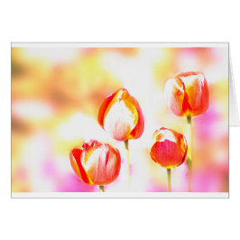 Quartet rouge de tulipe