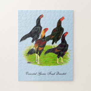 Quartett "Oriental Game Fowl"