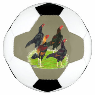 Quartett "Oriental Game Fowl" Fußball