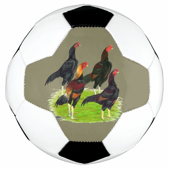 Quartett "Oriental Game Fowl" Fußball (Vorderseite)