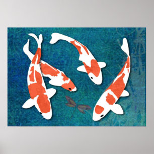 Quartett von orange u. weißem Kohaku Koi Poster