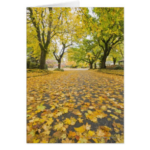 Quartier Est En Automne