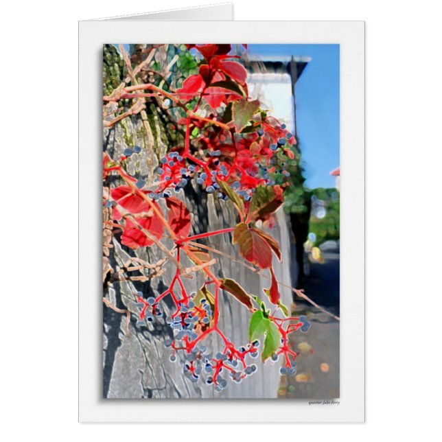 Quartier Jules Ferry (Vorne)