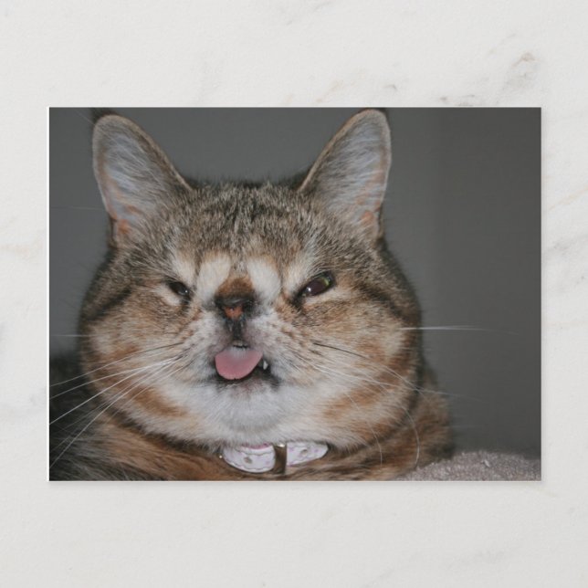 Quasi Postkarte (Vorderseite)