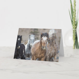 Quatre Adobes - Carte de voeux pour la liberté