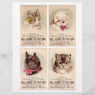 Quatre cartes de commerce authentiques (pas AI) ・