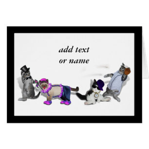 Quatre Chatons En Jeu