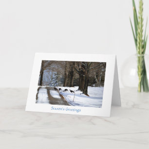 Quatre dindes sauvages - carte de vacances