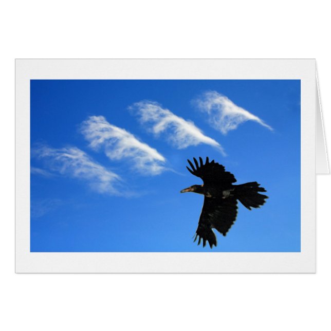 Quatre Plumes (Devant horizontal)