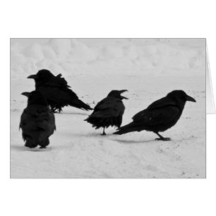 Quatre Ravens
