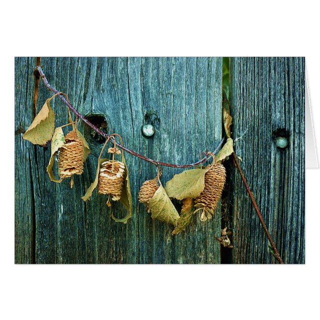 Quatre soeurs (Devant horizontal)