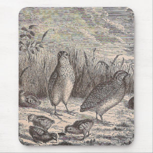 Quatsch Mousepad