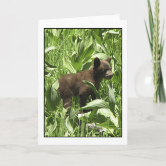 Que Les Ours Soient... Carte 2