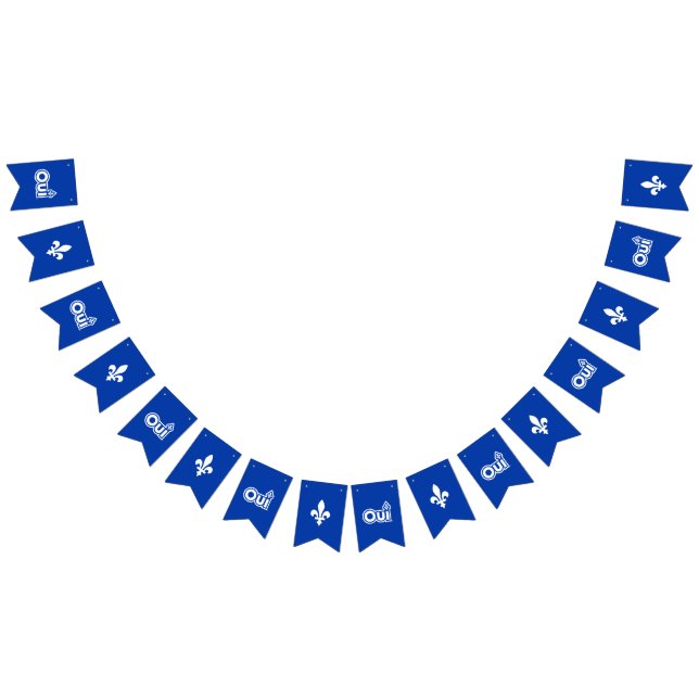 QUEBEC OUI WIMPELKETTE (Alle)