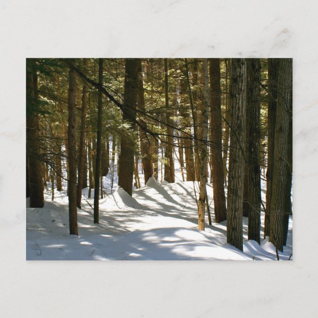 Quechee, VT Postkarte (Vorderseite)