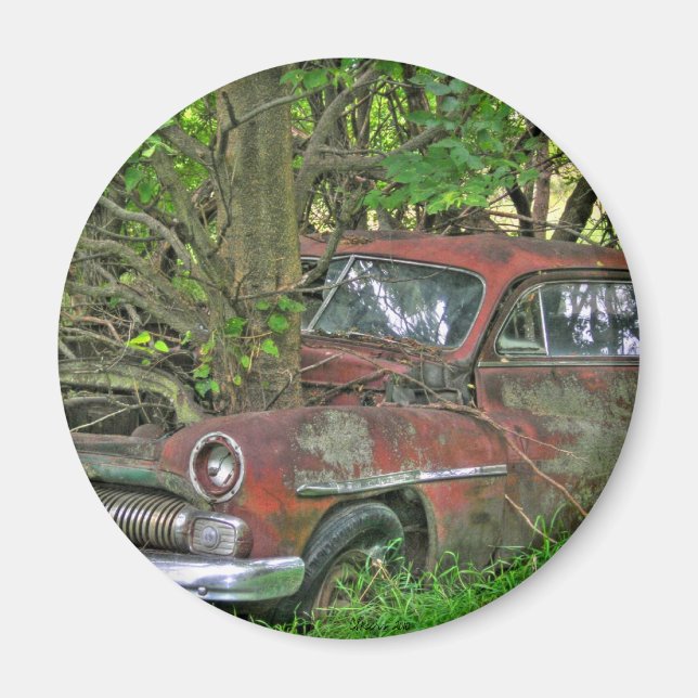 Quecksilbermagnet 1950 magnet (Vorne)