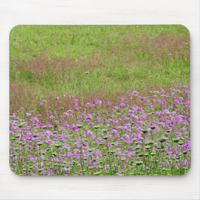 Queen Anne's Lace Daucus carota), die Mousepad (Vorne)
