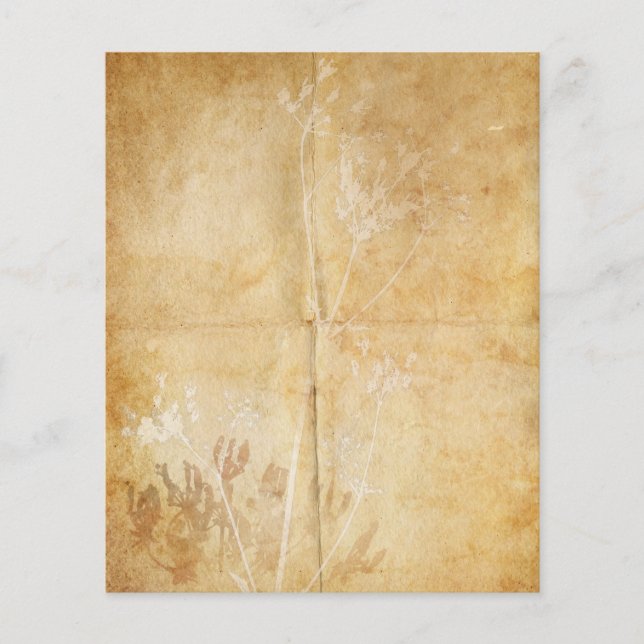 Queen Anne's Lace Watercolor Parchment (Vorderseite)