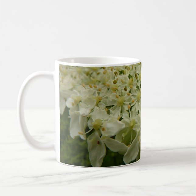 Queen Anne's Lace Wildblume Foto Kaffeetasse (Links)