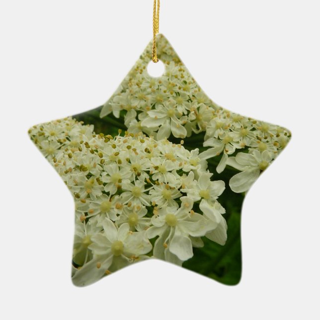 Queen Anne's Lace Wildblume Foto Keramikornament (Vorne)