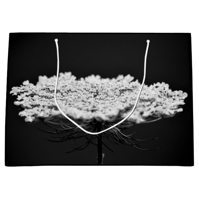Queen Anne's Lace Wildblumen Blume B&W Große Geschenktüte (Vorderseite)