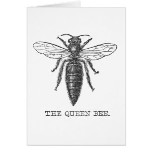 Queen Bee Bug Insect Antike Illustration