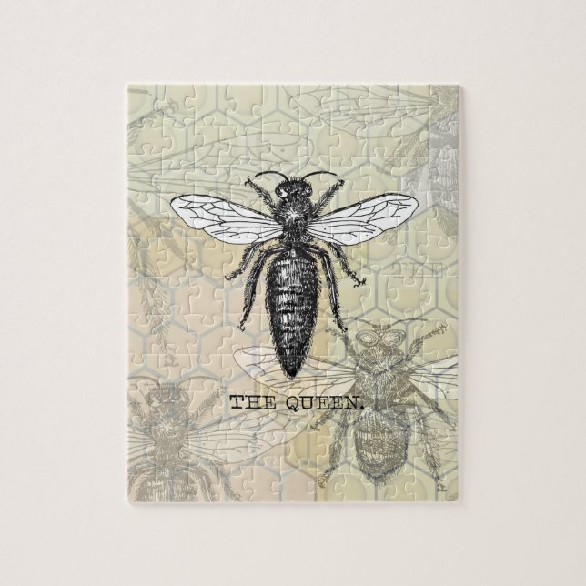 Queen Bee Bug Insect Antike Illustration (Vertikal)