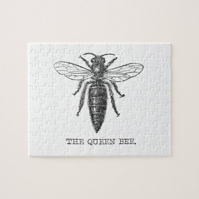 Queen Bee Bug Insect Antike Illustration (Horizontal)
